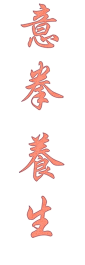 Chinesische Schriftzeichen - YiQuan - Yang Sheng